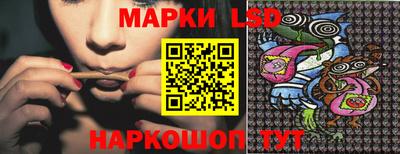ECSTASY Новозыбков