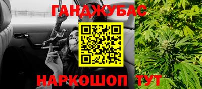 mdpv Гатчина