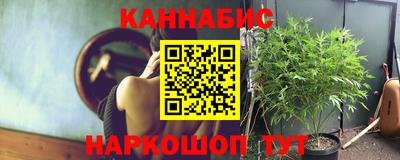 mdpv Гатчина