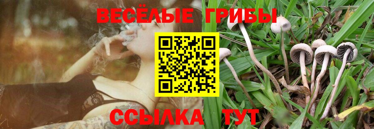 Галлюциногенные грибы прущие грибы Серпухов